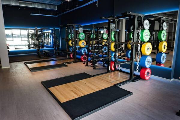 Moderner Fitnessraum mit Squat Racks, Hantelstangen und Bumper Plates